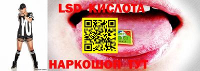 ALPHA-PVP Гатчина