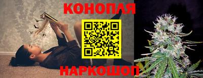 твердый Гай