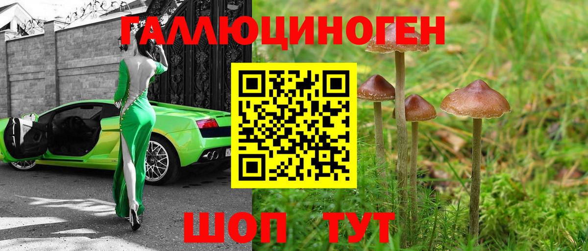 Галлюциногенные грибы Cubensis  Вход с VPN  Ухта 